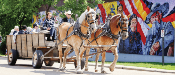 Stony Plain Horse and Wagon Tours
