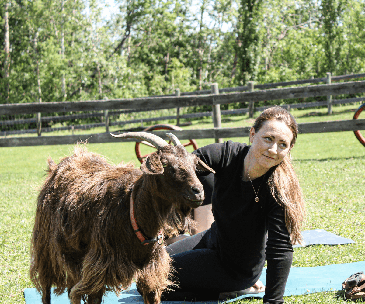 Dreamcatcher Ranch Goat Yoga