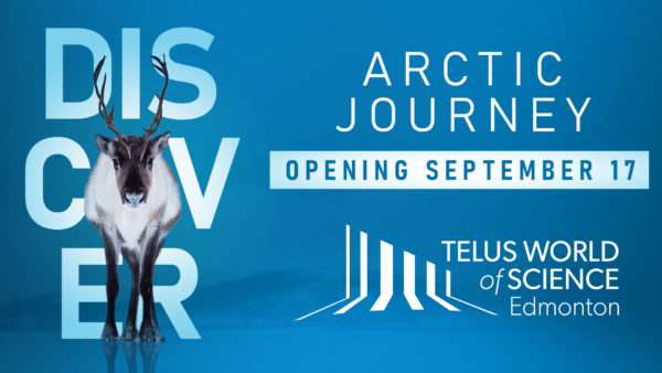 Arctic Journey