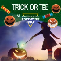 Professor WEMs Adventure Golf Trick oder Tee