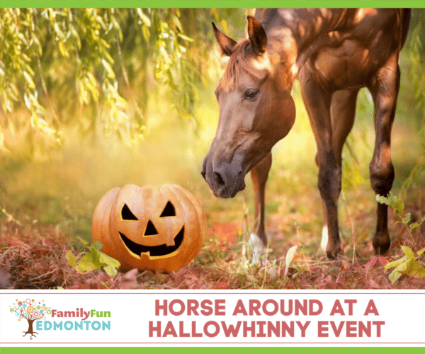 HalloWhinny Events