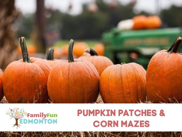 Pumpkin Patches & Corn Mazes