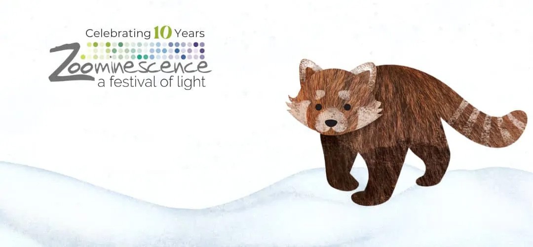 Zoominescence Festival of Light at the Zoo Family Fun Edmonton