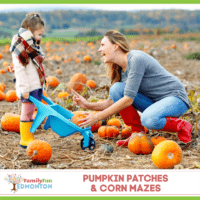 Pumpkin Patch Corn Maze Thumbnail