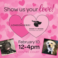Londonderry Mall Valentines Campaign_IG پوسٹ