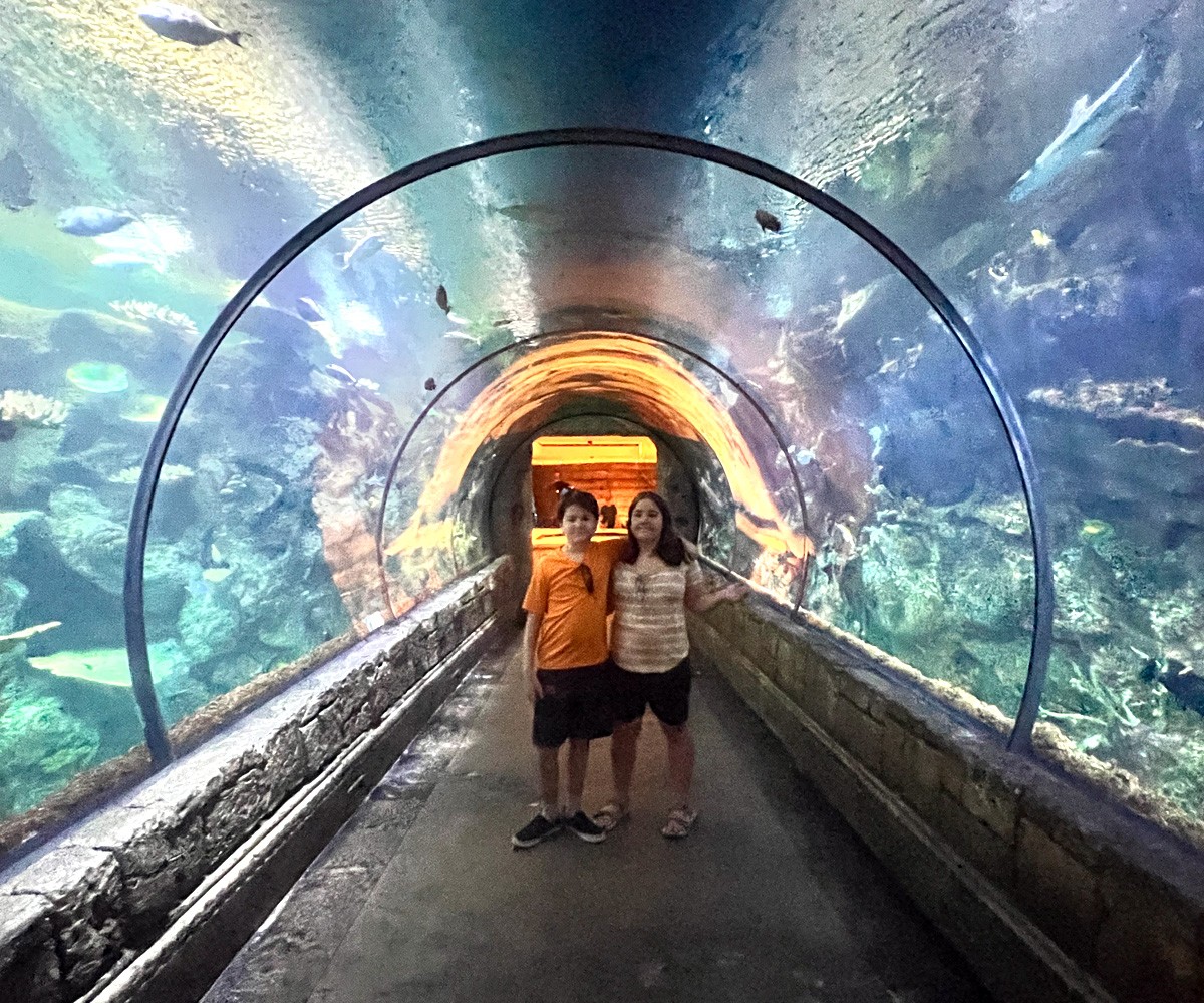 Vegas com crianças - Mandalay Bay Shark Aquarium