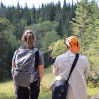 Sentier de la forêt boréale de Meadow Lake