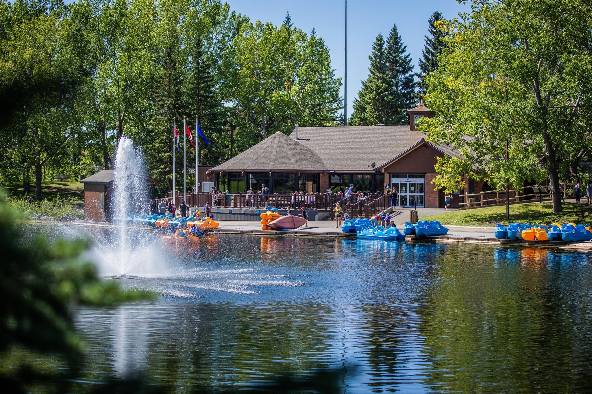 Bower Ponds Red Deer