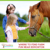 Farm Fun Near Edmonton Thumbnail