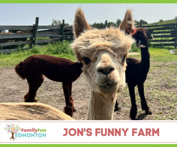 Jon's Funny Farm Tour
