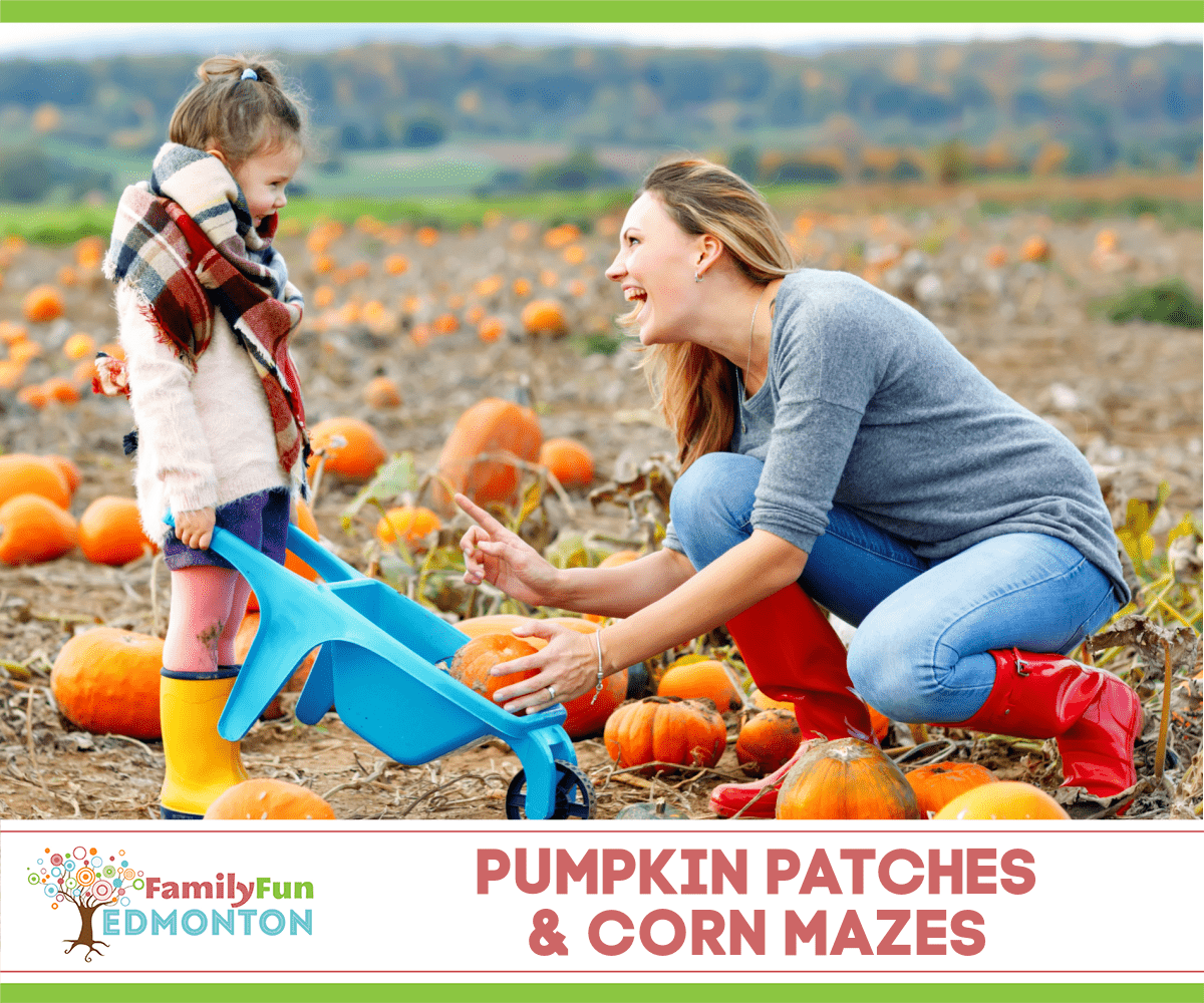 Pumpkin Patches & Corn Mazes Edmonton