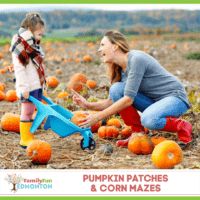 Pumpkin Patches & Corn Mazes Thumbnail