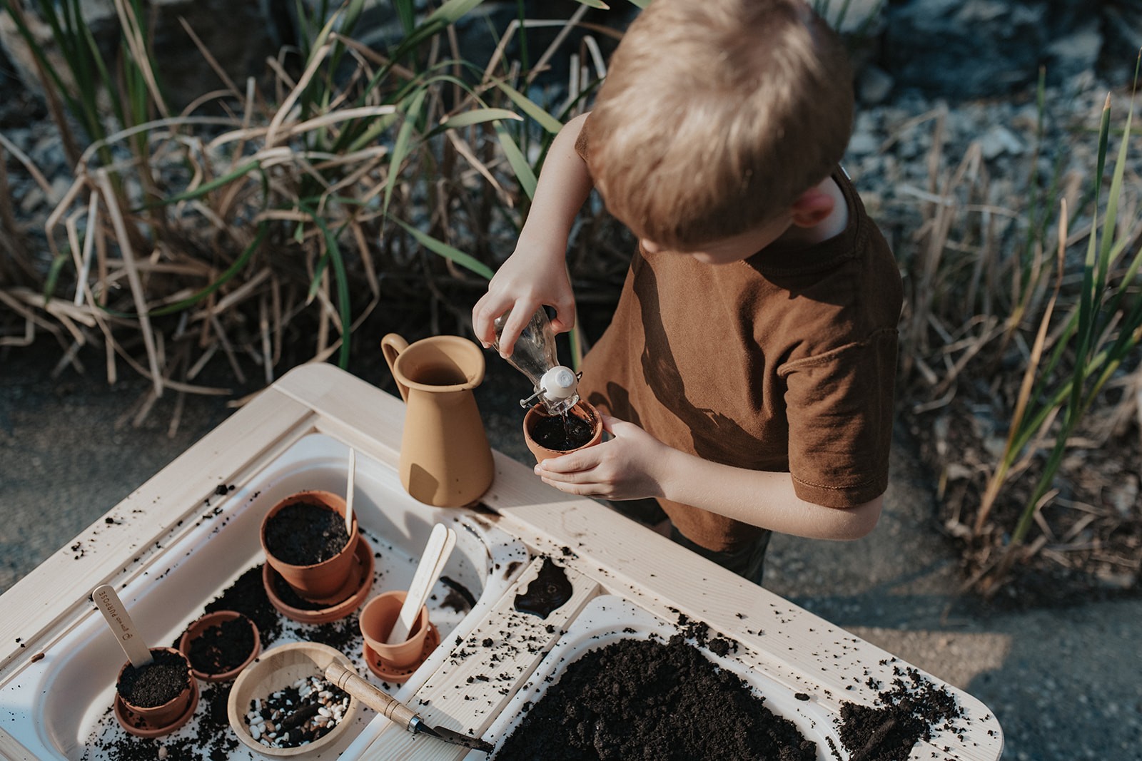 Find Harmony in Nature with Purpose Preschool Family Fun Edmonton