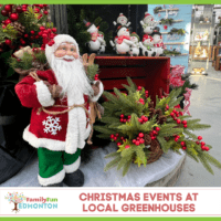 Miniatura Eventos de Natal Estufas Locais Edmonton