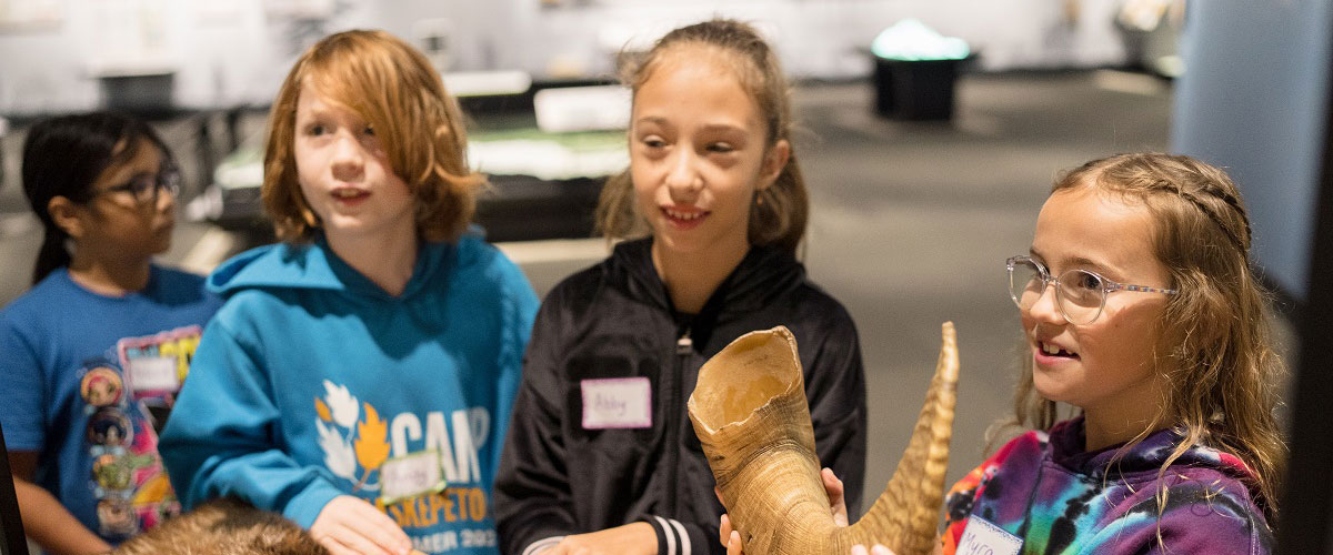 Summer Camps Royal Alberta Museum