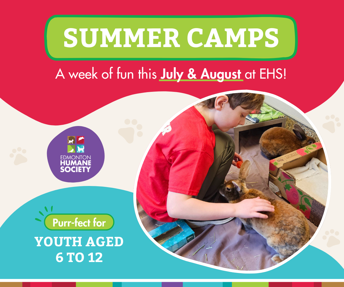 Edmonton Humane Society Summer Camps (Family Fun Edmonton)