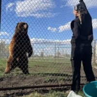 Discovery Wildlife Park and Campground