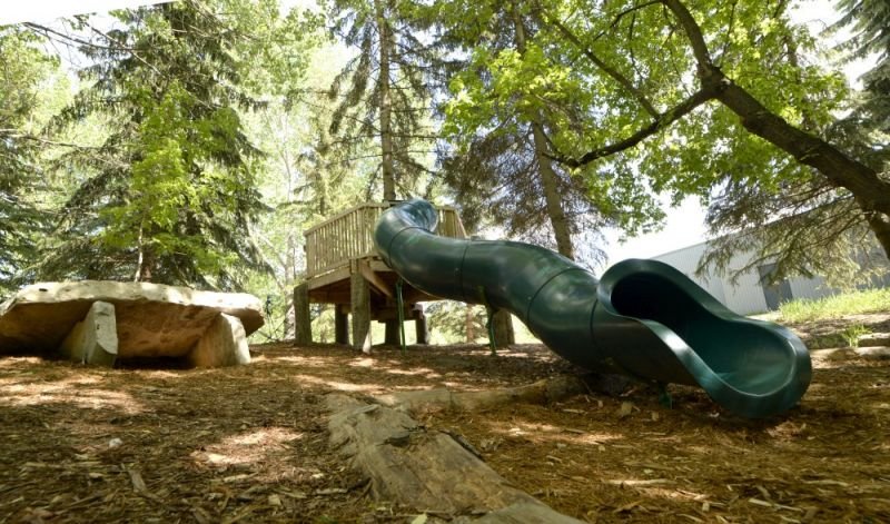 Kerry Wood Nature Centre Red Deer
