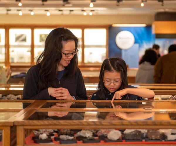 APEGA Rock and Fossil Clinic (Family Fun Edmonton)