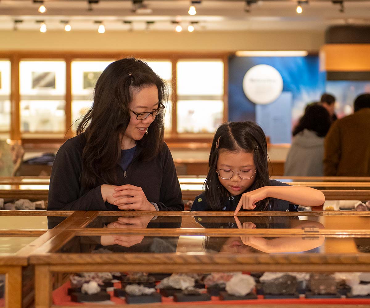APEGA Rock and Fossil Clinic (Family Fun Edmonton)
