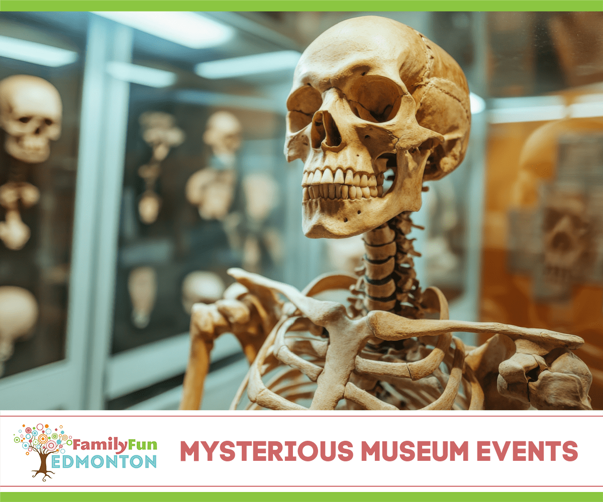 Mysterious Museum Events Halloween
