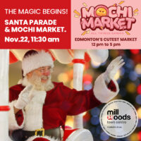 Mill Woods Town Centre Christmas (Family Fun Edmonton)