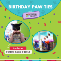 Edmonton Humane Society Birthday Paw-ties