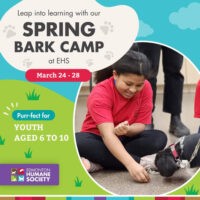 Edmonton Humane Society Spring Bark Camp Thumbnail