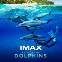 Call of the Dolphins IMAX 3D TELUS World of Science - Edmonton