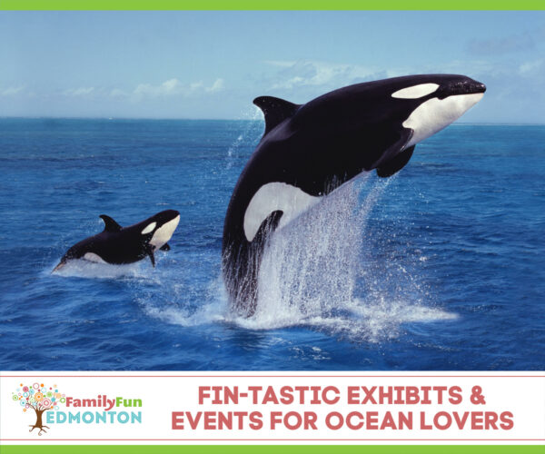 Fin-tastic Events Ocean Lovers