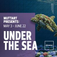Muttart Conservatory Under the Sea