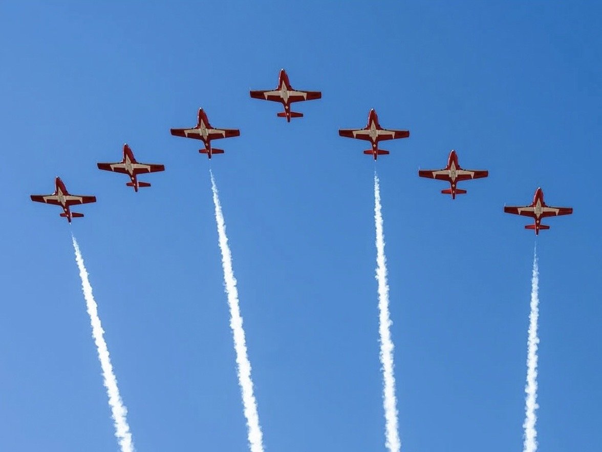 Canadian Forces Snowbirds
