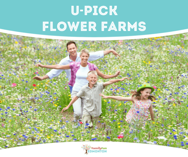 Family in Flower Field