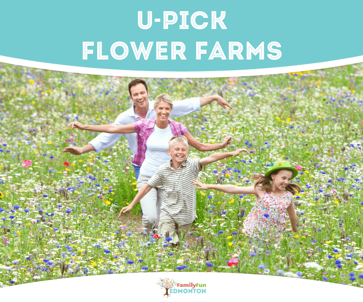 Family in Flower Field