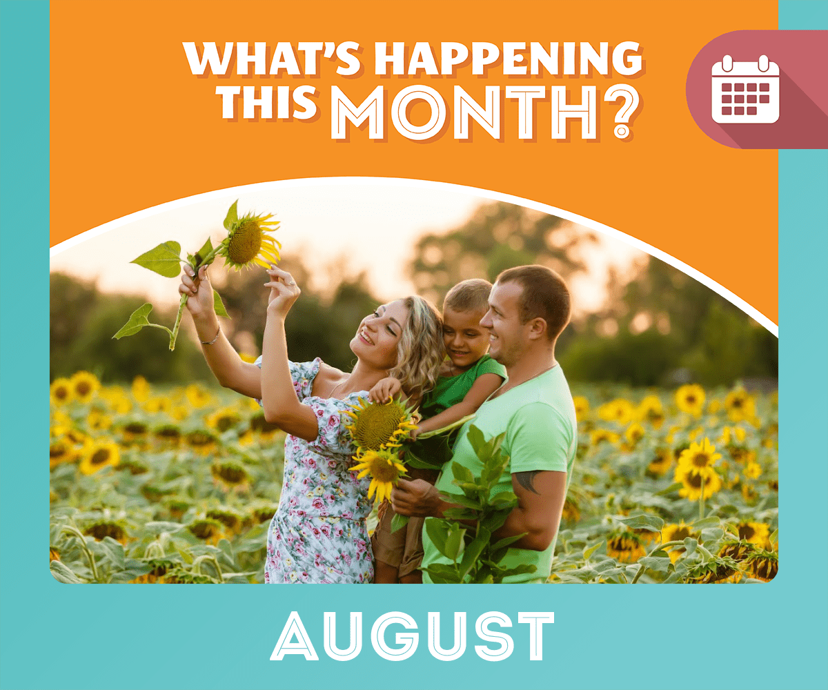Family Picking Sunflowers