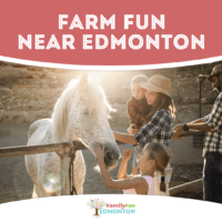 Where to Find Farm Fun Near Edmonton