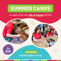 Edmonton Humane Society Summer Camps (Family Fun Edmonton)