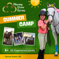 Blarney Stone Farms Summer Camps