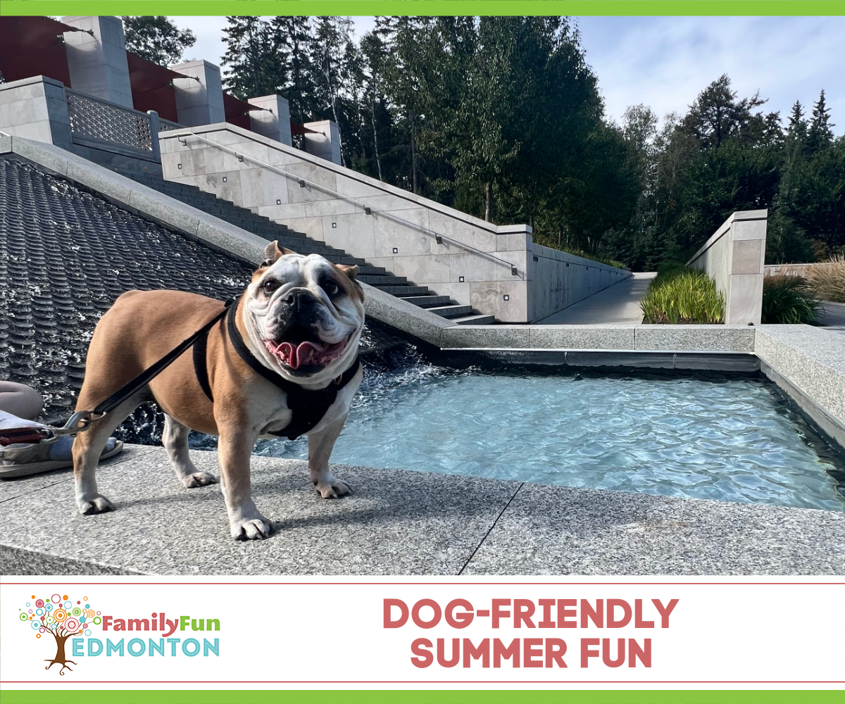 Things to do in Edmonton with Dogs Summer