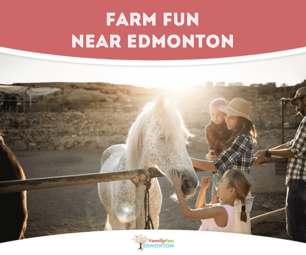 Where to Find Farm Fun Near Edmonton