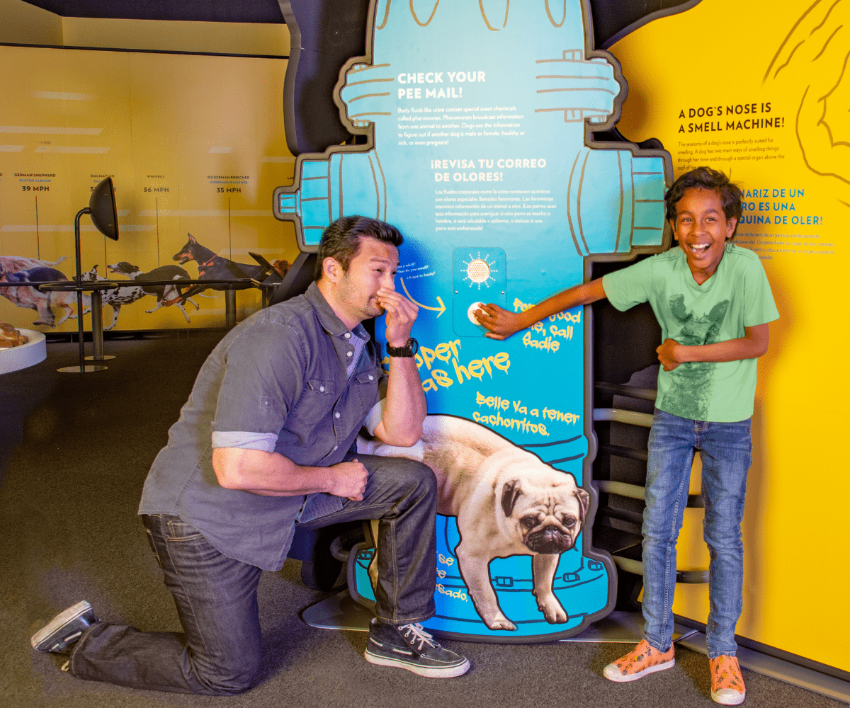Dogs! A Science Tail Exhibit at TELUS World of Science