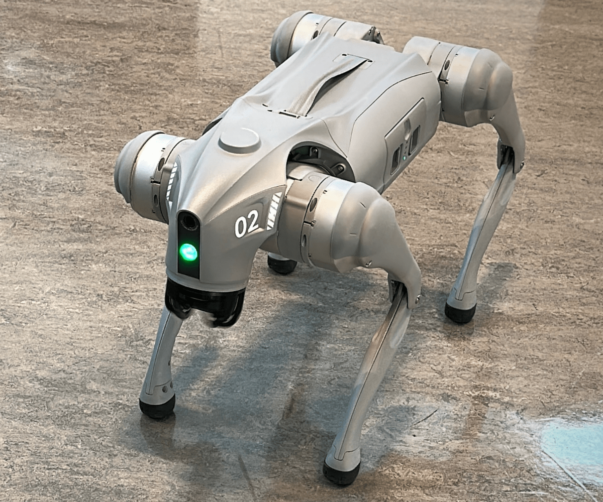 Dog Robot