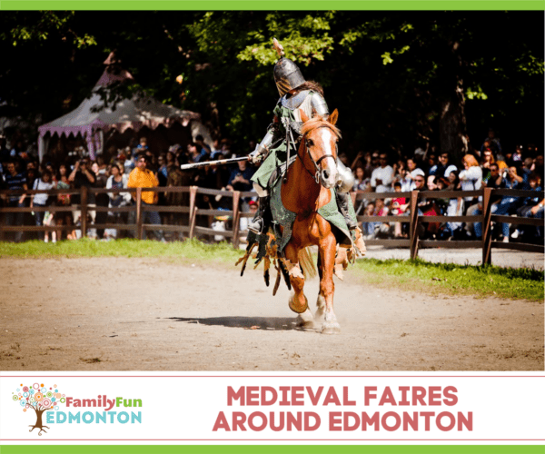 Knight Jousting at Medieval Faire
