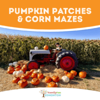 Pumpkin Patches & Corn Mazes Near Edmonton