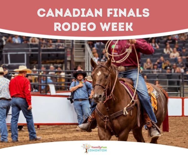 Small Roping Arena Canadian Finals Rodeo Week | Family Fun Edmonton