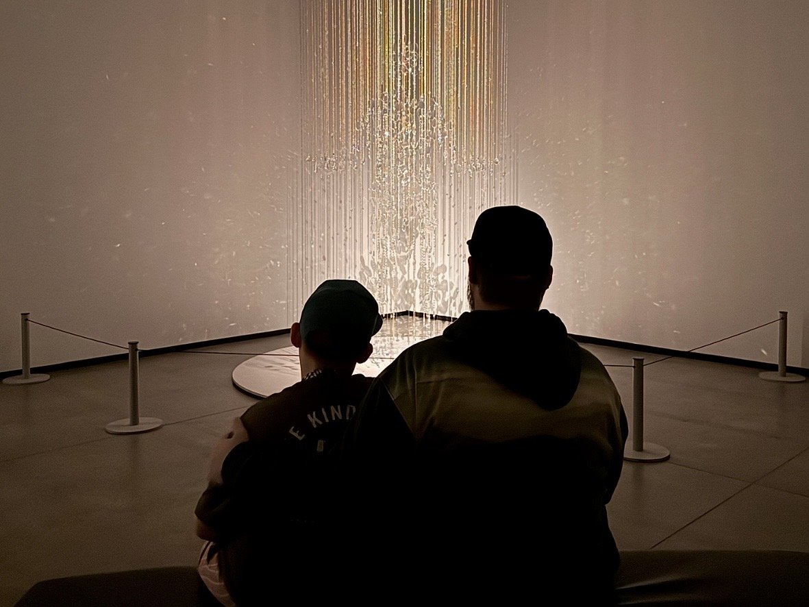 Father and Son Admiring Art Installation