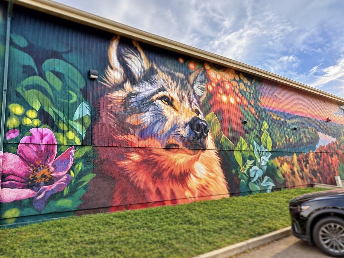 2026 EMF Mural by Lacey Jane Wilburn and Layla Folkmann of LALA (Lacey And Layla Art), Westridge Park