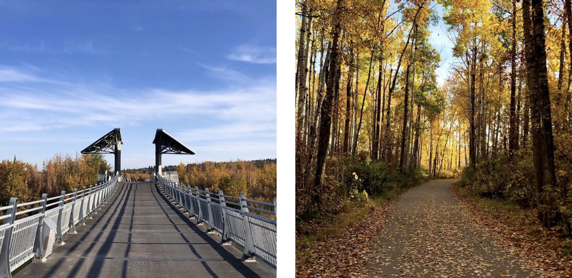 Terwillegar Park Footbridge, Fall Adventure in Southwest Edmonton