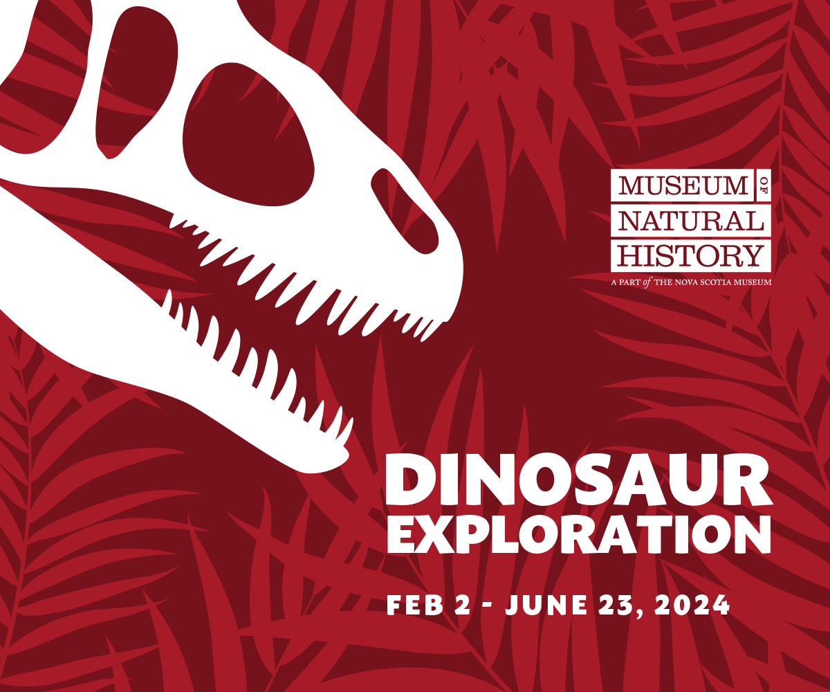 Dinosaur Exploration