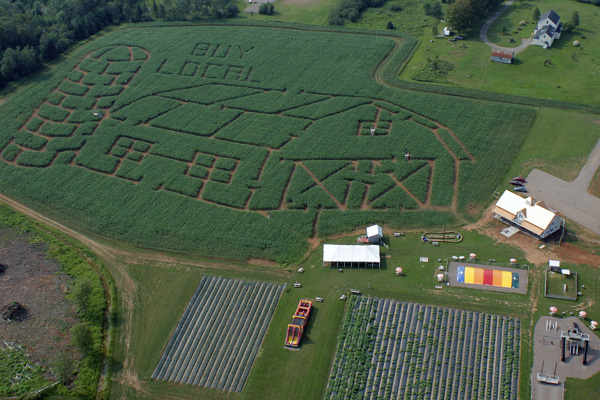 Captain Cob’s Crazy Corn Maze